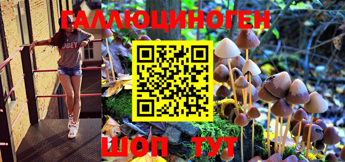 Галлюциногенные грибы MAGIC MUSHROOMS Губкин