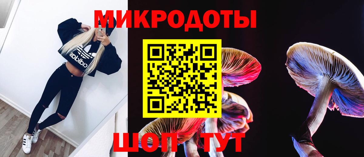 Губкин  Псилоцибиновые грибы Magic Shrooms  наркотики  Вход с VPN 